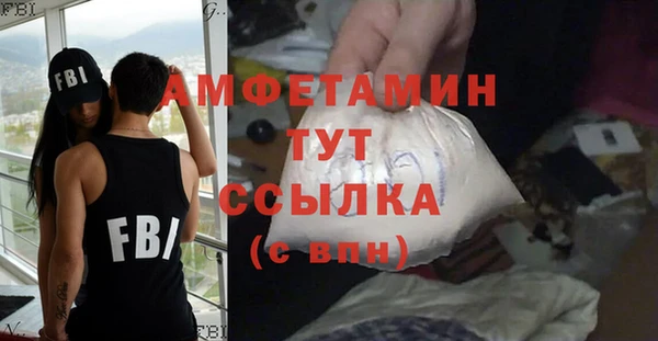 сатива Бронницы