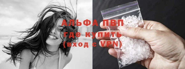 амф Бородино