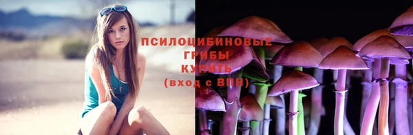 МДПВ Богданович