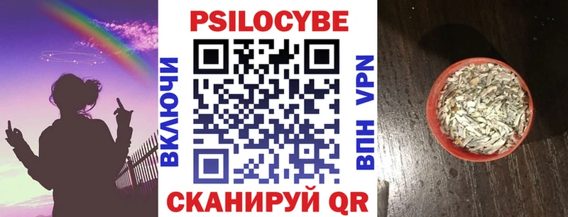 Галлюциногенные грибы Cubensis  что такое   Вяземский 