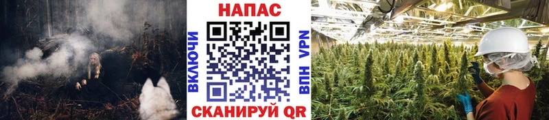 купить  сайты  Вяземский  Конопля THC 21% 